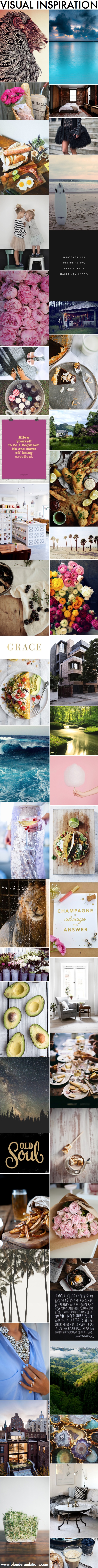 visual inspiration 1.21.14