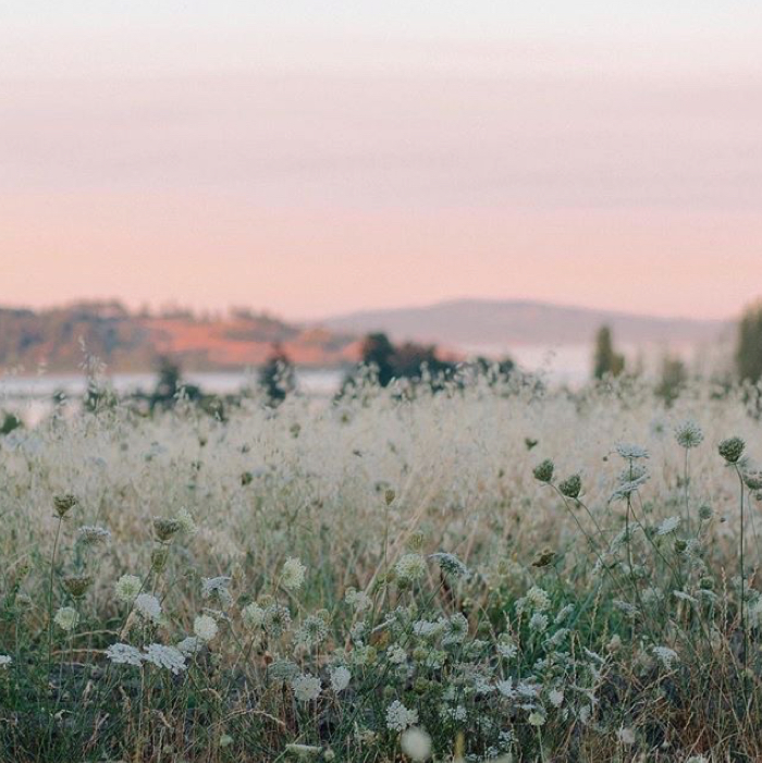 visual inspiration 1a