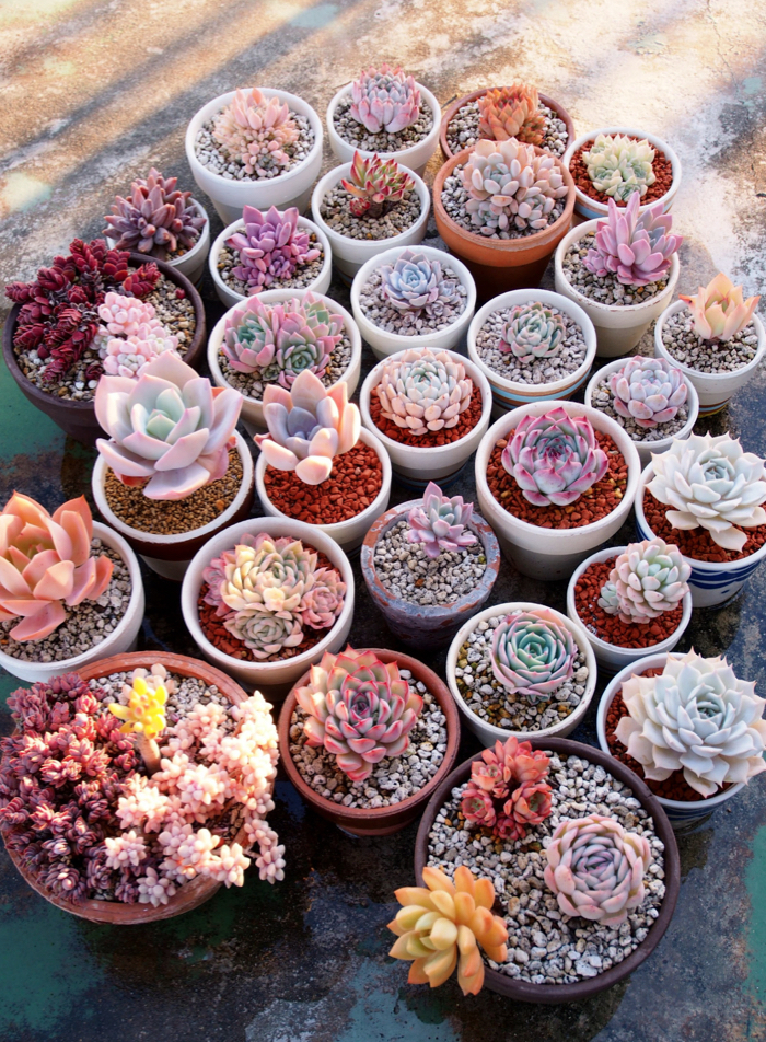 visual inspiration 1