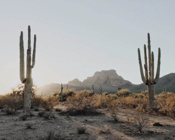 visual inspiration 1