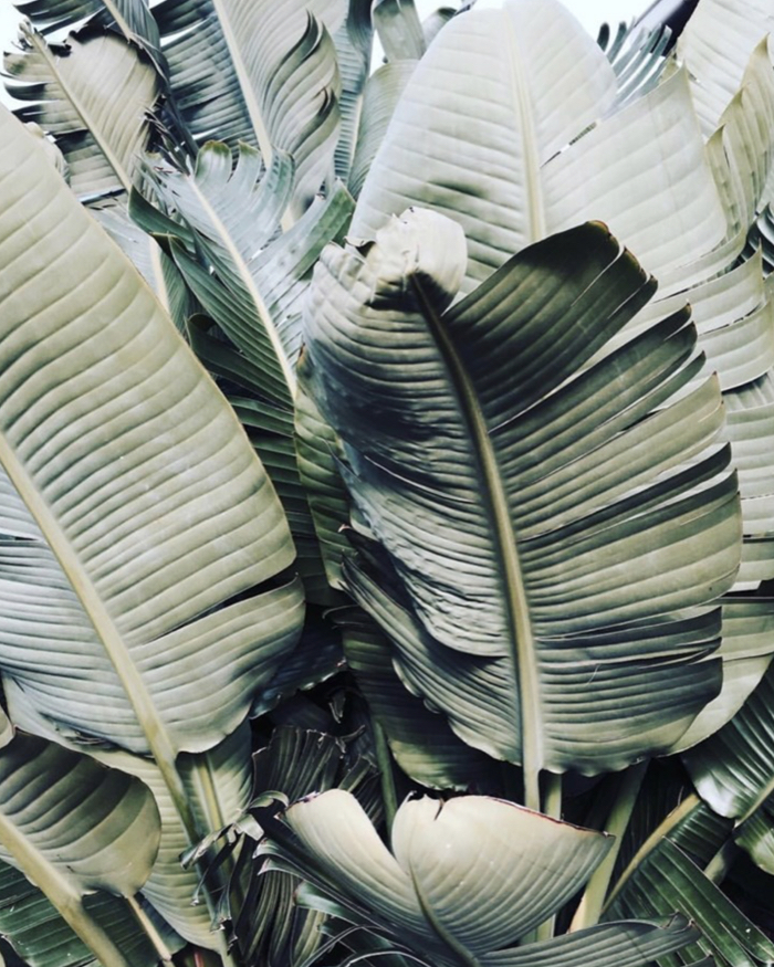 visual inspiration 1