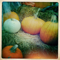 FABULOUS SANTA BARBARA SPOT – THE PUMPKIN PATCH