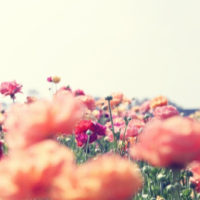 VISUAL INSPIRATION