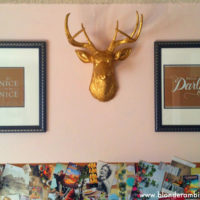 MY PLACE – A PREVIEW