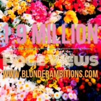 CELEBRATING 1.9 MILLION PAGE VIEWS!