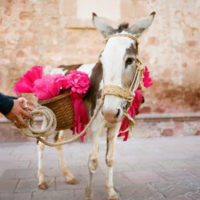 FABULOUS EVENT – CINCO DE MAYO