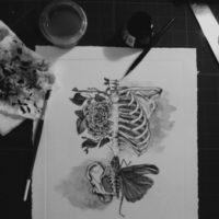 VISUAL INSPIRATION
