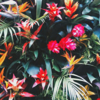VISUAL INSPIRATION