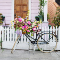 VISUAL INSPIRATION